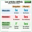 Definite Articles in French – Les articles définis en français ...